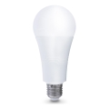 LED Žiarovka E27/22W/230V 3000K