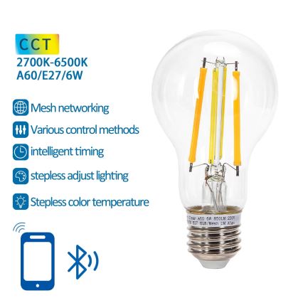 LED Žiarovka FILAMENT A60 E27/6W/230V 2700-6500K - Aigostar