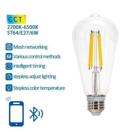 LED Žiarovka FILAMENT ST64 E27/6W/230V 2700-6500K - Aigostar