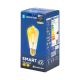 LED Žiarovka FILAMENT ST64 E27/6W/230V 2700-6500K - Aigostar