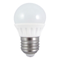 LED Žiarovka G45 E27/6W/230V 6500K