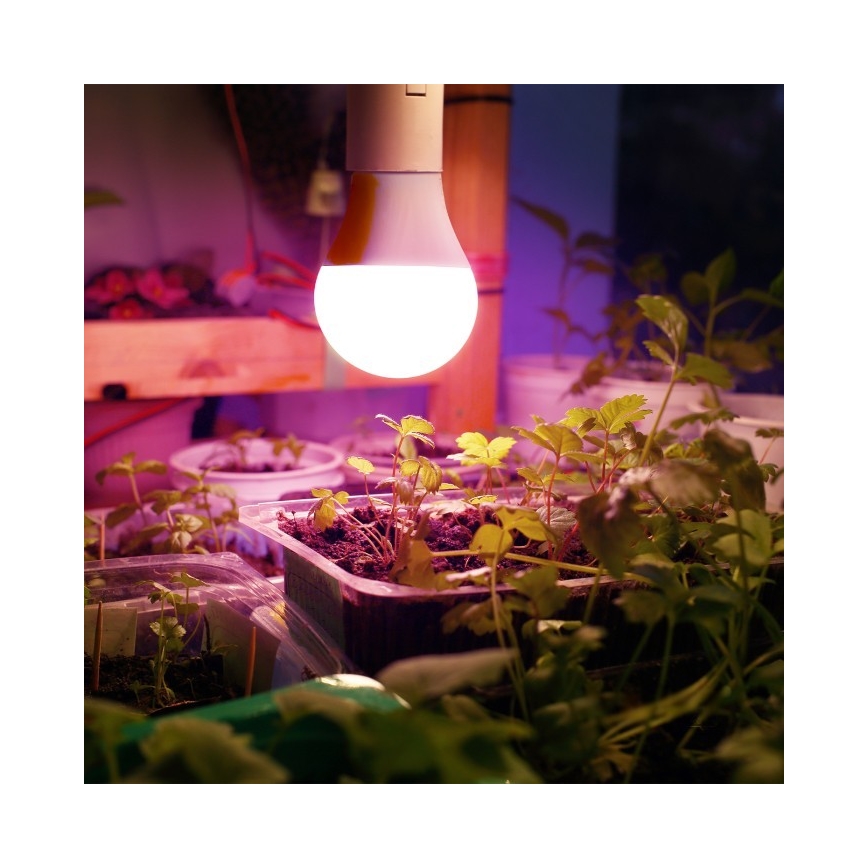 LED Žiarovka na rast rastlín PLANTY E27/11W/230V 1200K biela