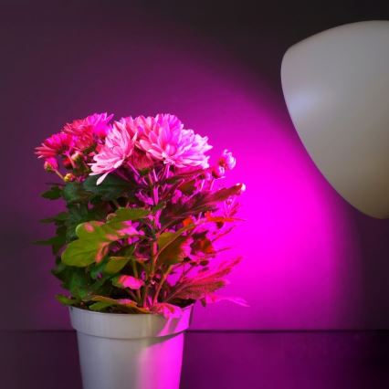 LED Žiarovka na rast rastlín PLANTY E27/11W/230V 1200K biela