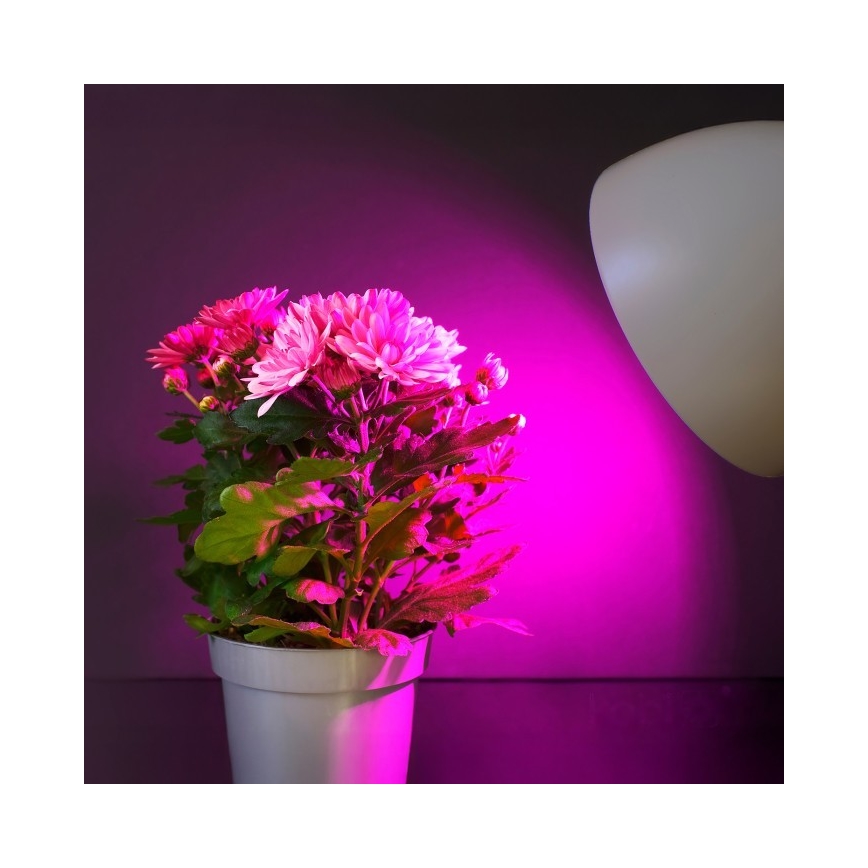 LED Žiarovka na rast rastlín PLANTY E27/11W/230V 1200K biela
