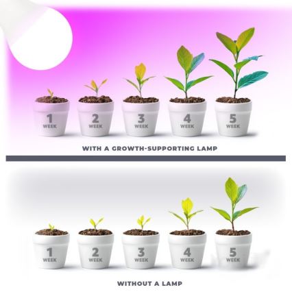 LED Žiarovka na rast rastlín PLANTY E27/11W/230V 1200K biela
