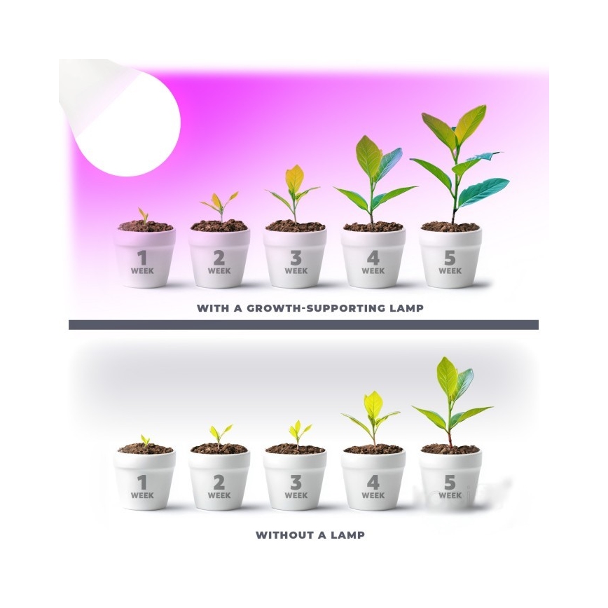 LED Žiarovka na rast rastlín PLANTY E27/11W/230V 1200K biela