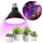 LED Žiarovka na rast rastlín PLANTY E27/9W/230V 1200K čierna