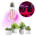 LED Žiarovka na rast rastlín VITABLOOM E27/8W/230V 1200K - Brilagi