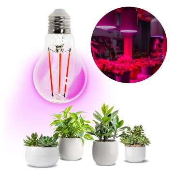 LED Žiarovka na rast rastlín VITABLOOM E27/8W/230V 1200K - Brilagi