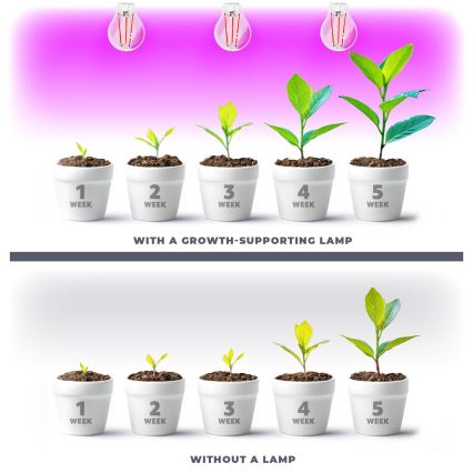 LED Žiarovka na rast rastlín VITABLOOM E27/8W/230V 1200K - Brilagi