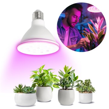 LED Žiarovka na rast rastlín VITABLOOM E27/9W/230V 1200K biela - Brilagi