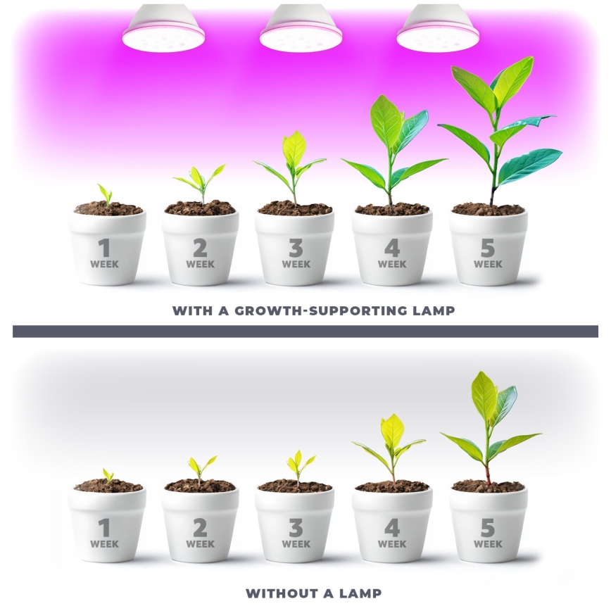 LED Žiarovka na rast rastlín VITABLOOM E27/9W/230V 1200K biela - Brilagi