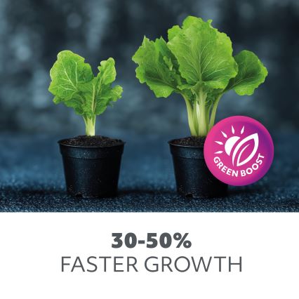 LED Žiarovka na rast rastlín VITABLOOM E27/9W/230V 1200K biela - Brilagi