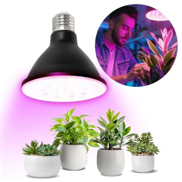 LED Žiarovka na rast rastlín VITABLOOM E27/9W/230V 1200K čierna - Brilagi
