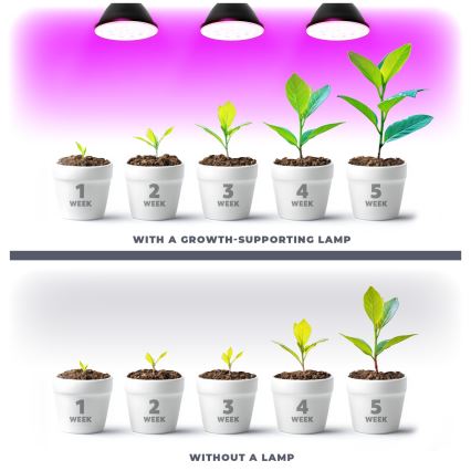 LED Žiarovka na rast rastlín VITABLOOM E27/9W/230V 1200K čierna - Brilagi