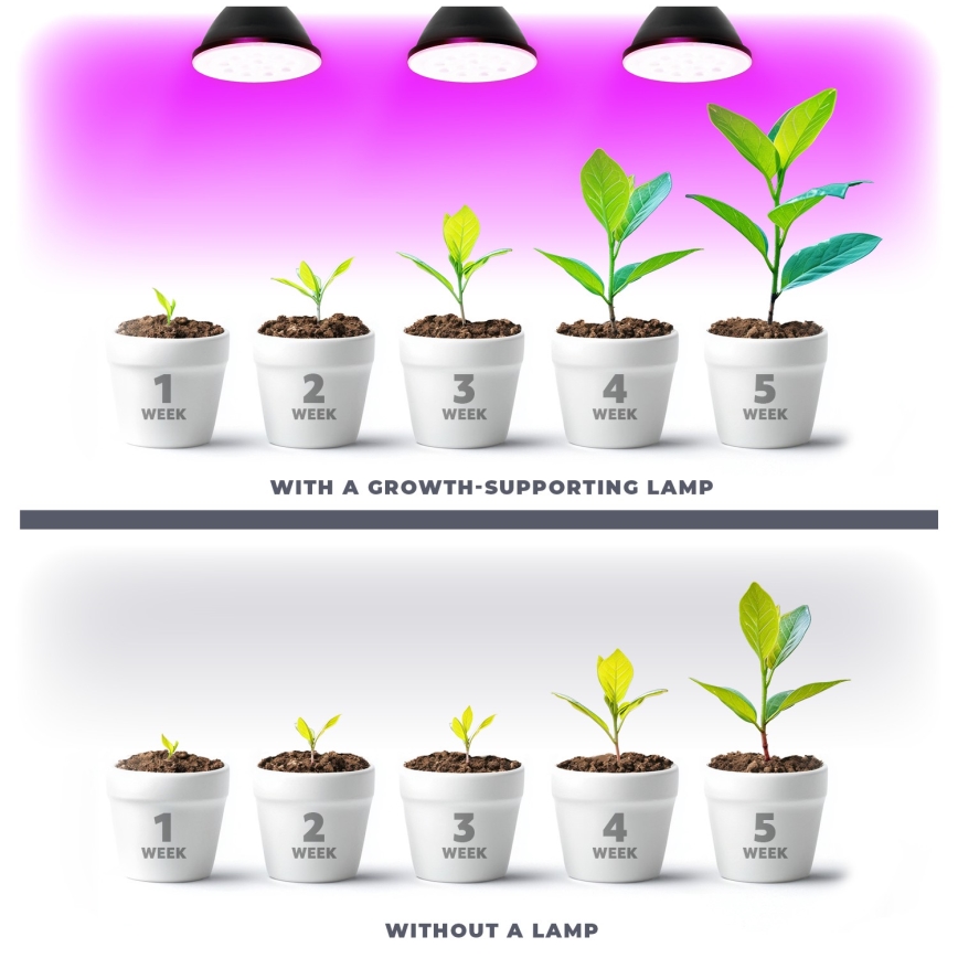 LED Žiarovka na rast rastlín VITABLOOM E27/9W/230V 1200K čierna - Brilagi