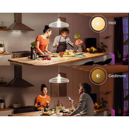 LED Žiarovka Philips Hue WHITE E67 E27/15,5W/230V 2700K