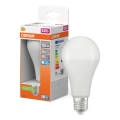 LED Žiarovka STAR E27/19W/230V 6500K - Osram
