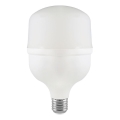 LED Žiarovka T100 E27/30W/230V 4000K