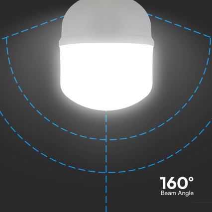 LED žiarovka T100, pätica E40/E27, 30 W, 230 V, 6500 K