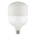 LED žiarovka T120 E27/40W/230V 6500K