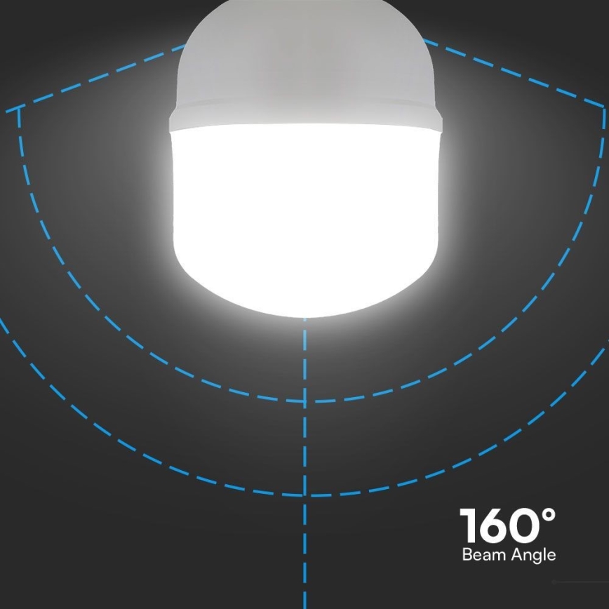 LED žiarovka T160 E27/60W/230V 6500K