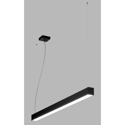 LED2 - LED Luster na lanku NOLI LED/40W/230V 3000K/3500K/4000K čierna