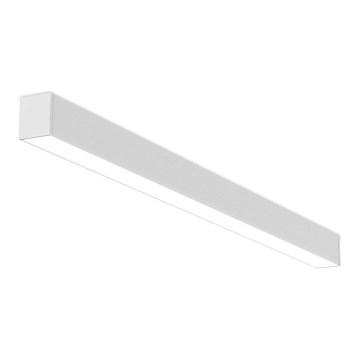 LED2 - LED Stmievateľné stropné svietidlo NOLI LED/40W/230V 3000K/3500K/4000K biela