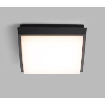 LED2 - LED Vonkajšie stropné svietidlo QUADO LED/10W/230V antracit IP54