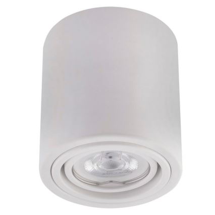 Ledvance - Bodové svietidlo TUBA 1xGU10/50W/230V