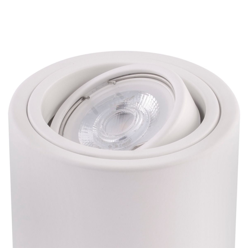 Ledvance - Bodové svietidlo TUBA 1xGU10/50W/230V