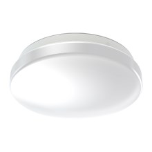 Ledvance - LED Kúpeľňové stropné svietidlo CEILING ROUND LED/12W/230V 3000K IP44