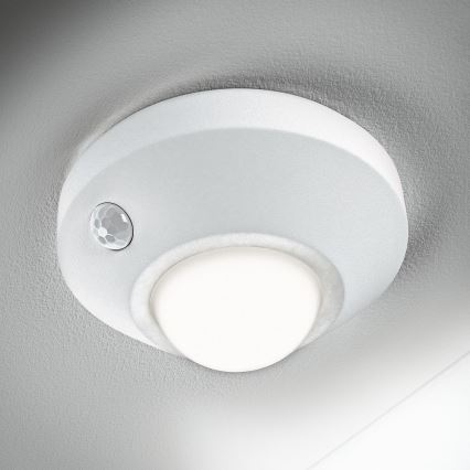 Ledvance - LED Orientačné svietidlo so senzorom NIGHTLUX LED/1,7W/3xAA 4000K