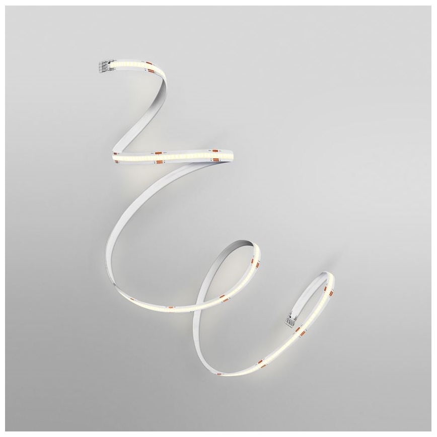 Ledvance - LED Pás FLEX COB 5m LED/24W/230V