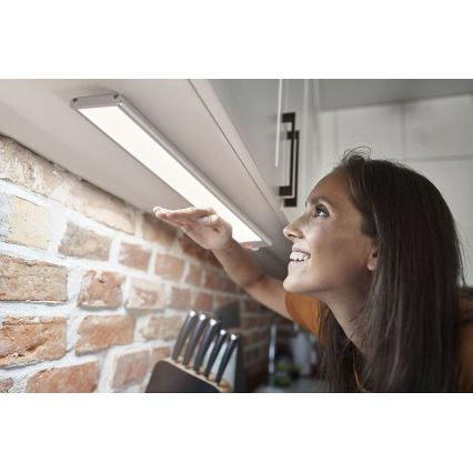 Ledvance - LED Podlinkové svietidlo so senzorom LINEAR LED/4W/5V 3000 mAh 3000/4000/6500K