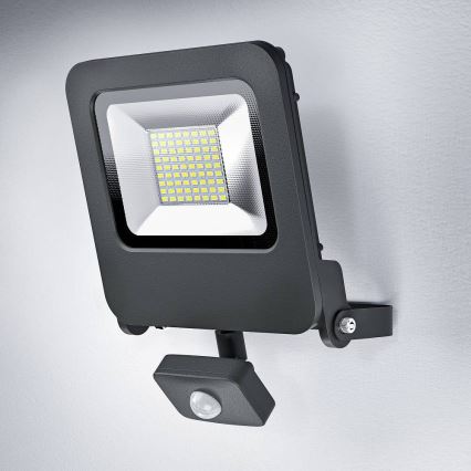 Ledvance - LED Reflektor so senzorom ENDURA LED/50W/230V IP44