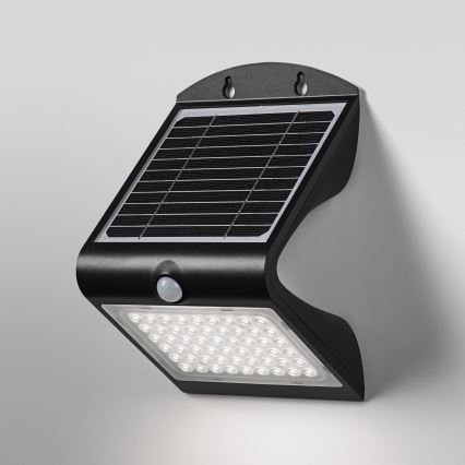 Ledvance - LED Solárne nástenné svietidlo so senzorom pohybu a súmraku BUTTERFLY LED/4W/3,7V 2000 mAh IP65