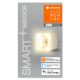 Ledvance - LED Stmievateľná inteligentná zásuvka s osvetlením SMART+ PLUG 3680W Wi-Fi