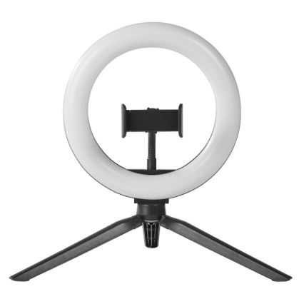 Ledvance - LED Stmievateľná stolná lampa so stojanom a držiakom na vlogovanie LED/5,5W/USB 3000/4000/6500K