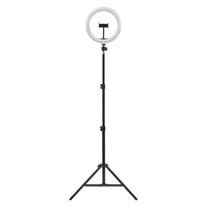 Ledvance - LED Stmievateľná stojacia lampa so stojanom a držiakom na vlogovanie LED/6W/USB 3000/4000/6500K