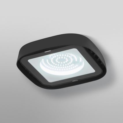 Ledvance - LED Stropné priemyselné svietidlo HIGHBAY LED/80W/230V IP65 6500K