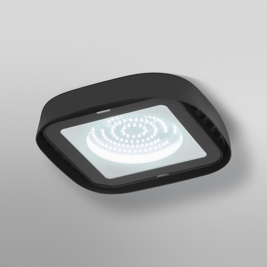 Ledvance - LED Stropné priemyselné svietidlo HIGHBAY LED/80W/230V IP65 6500K