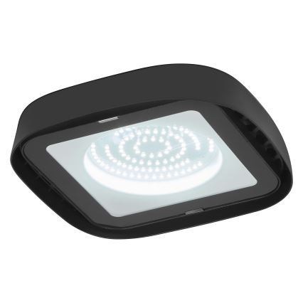 Ledvance - LED Stropné priemyselné svietidlo HIGHBAY LED/80W/230V IP65 6500K
