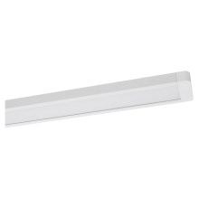 Ledvance - LED Stropné svietidlo OFFICE LINE LED/48W/230V