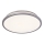 Ledvance - LED Stropné svietidlo ORBIS DUBLIN LED/16W/230V pr. 29,5 cm