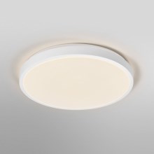 Ledvance - LED Stropné svietidlo ORBIS LONDON LED/36W/230V biela