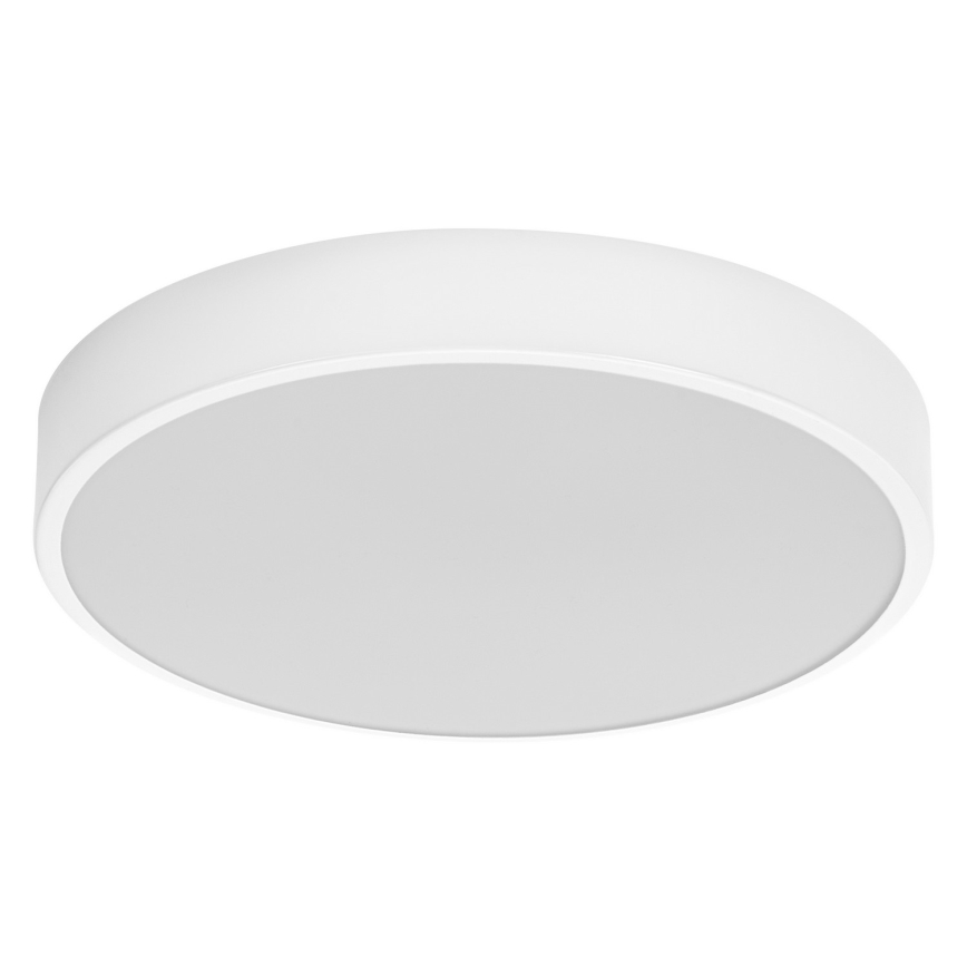 Ledvance - LED Stropné svietidlo ORBIS SLIM LED/20W/230V biela