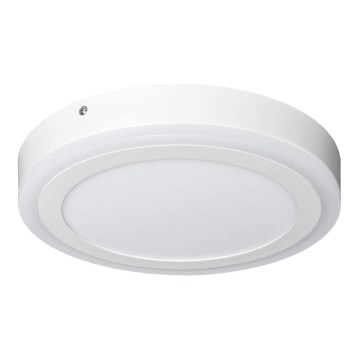 Ledvance - LED Stropné svietidlo ROUND LED/18W/230V priemer 30 cm