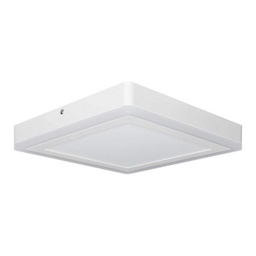 Ledvance - LED Stropné svietidlo SQUARE LED/18W/230V