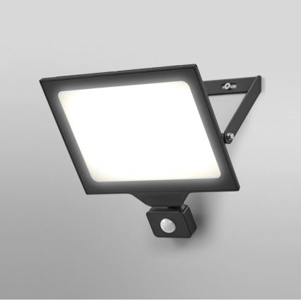 Ledvance - LED Vonkajší nástenný reflektor so senzorom FLOODLIGHT ESSENTIAL LED/100W/230V IP65